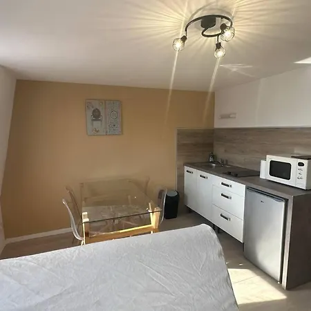Magnifique Duplex Confort 公寓 *